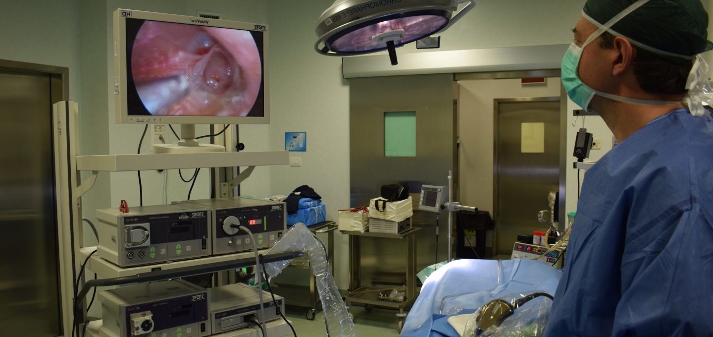 chirurgia endoscopica nasale FESS